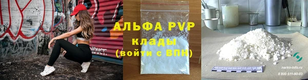 гашик Богданович