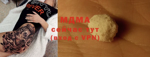 гашик Богданович
