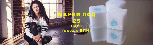 таблы Бородино