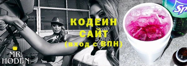 таблы Бородино