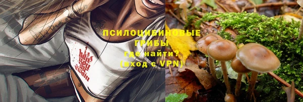 a pvp Богородск