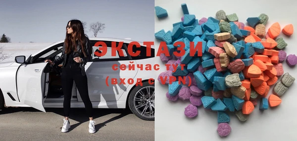 гашик Богданович